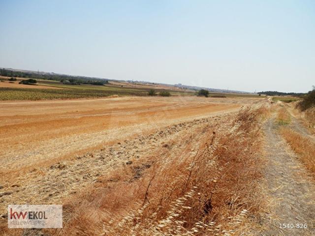 Lüleburgaz, Kirklareli içerisinde satılık Arsa