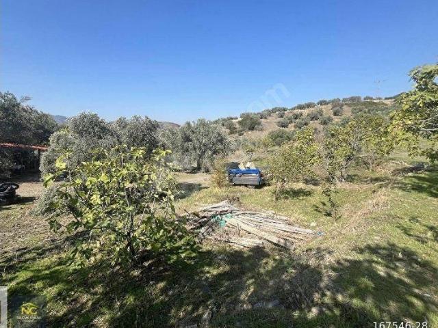 Selçuk, İzmir içerisinde satılık mülk