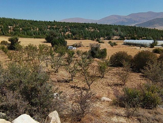 Elmali, Antalya içerisinde satılık Arsa