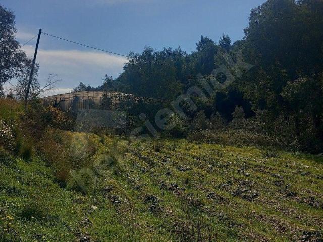 Kızılaliler, Anamur içerisinde satılık Arsa