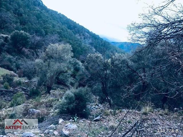 Fethiye, Muğla içerisinde satılık Arsa