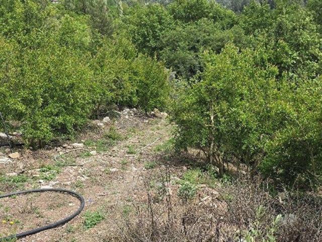Kumluca, Antalya içerisinde satılık mülk