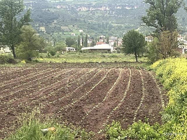 Gölpazari, Bilecik içerisinde satılık Arsa