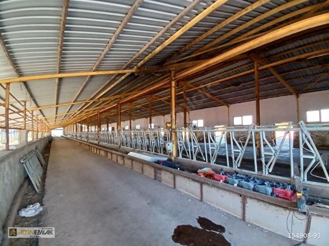 Sarikaya, Yozgat içerisinde satılık Fabrika