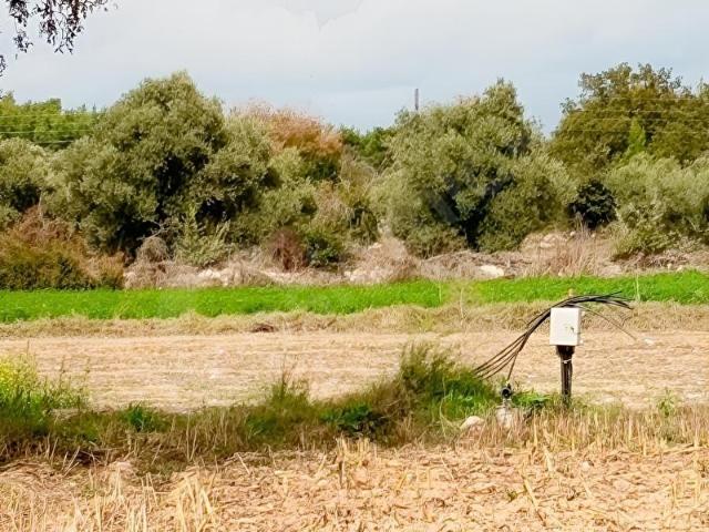 Milas, Muğla içerisinde satılık Arsa
