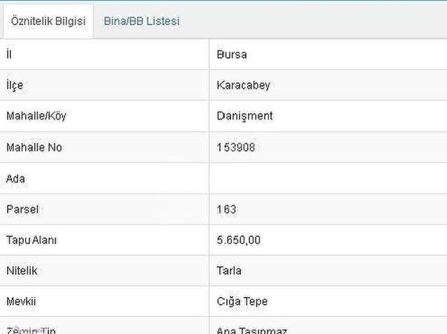 Karacabey, Bursa içerisinde satılık mülk