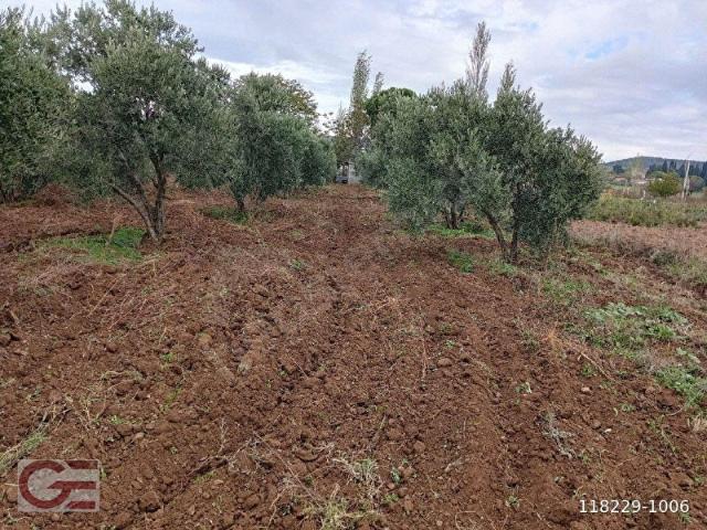 Burhaniye, Balikesir içerisinde satılık Arsa