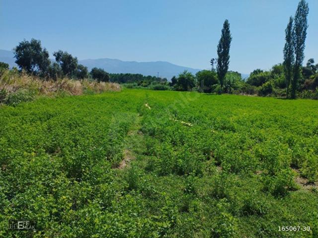 Yaka, Bozdoğan içerisinde satılık Arsa
