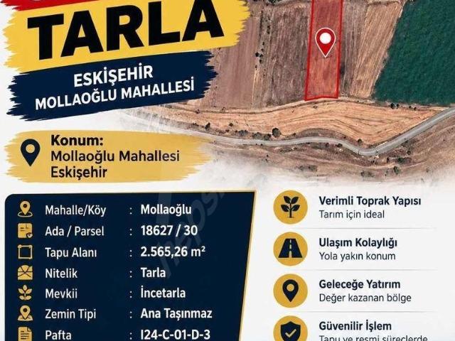 Mollaoğlu Mahallesi, Tepebaşı içerisinde satılık Arsa