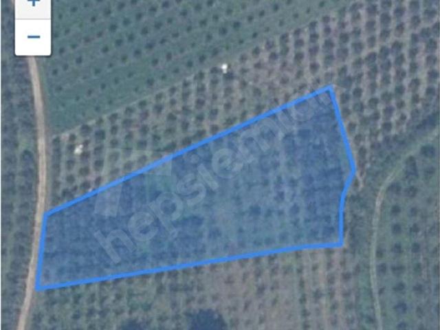 Çilimli, Düzce içerisinde satılık Arsa