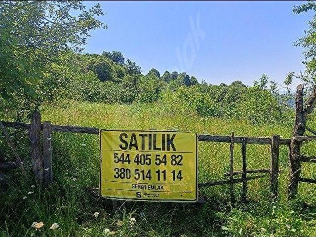 Kaynaşli, Düzce içerisinde satılık Arsa