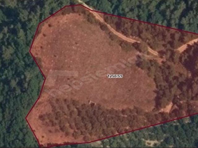 İznik, Bursa içerisinde satılık Arsa