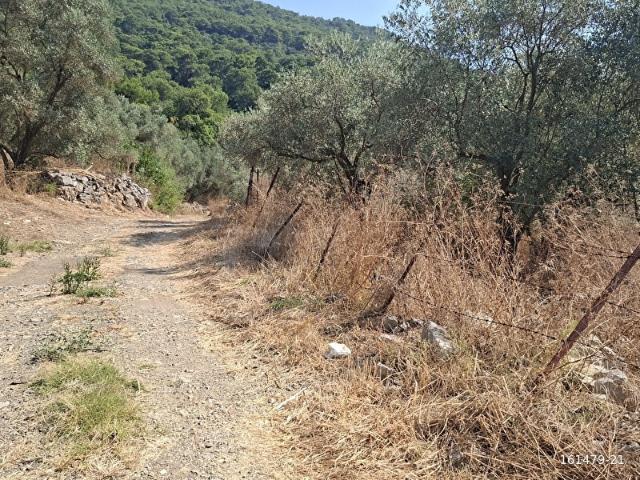 Ortaca, Muğla içerisinde satılık Arsa