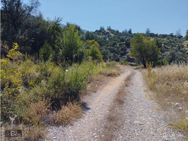 Bozdoğan, Aydin içerisinde satılık Arsa