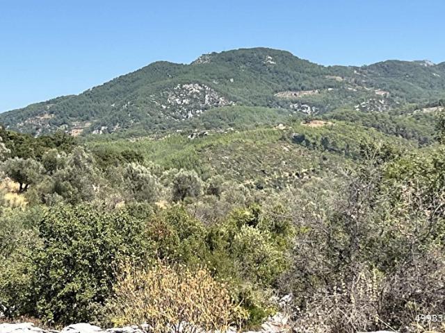 Dalaman, Muğla içerisinde satılık Arsa