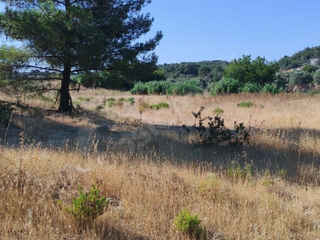 Özbek Mahallesi, Urla içerisinde satılık Arsa
