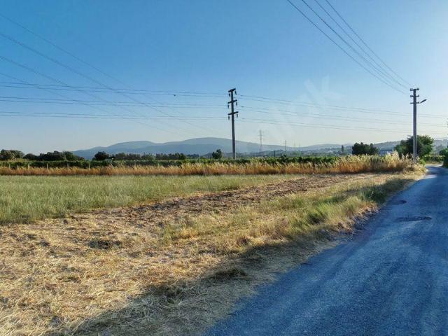 Sıra Mahallesi, Urla içerisinde satılık Arsa