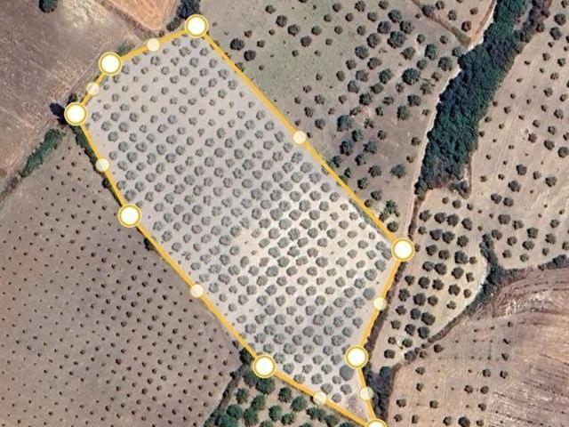 Soma içerisinde satılık Arsa