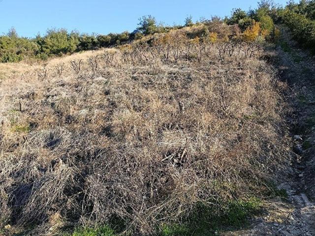 Akdeniz, Mersin içerisinde satılık Arsa