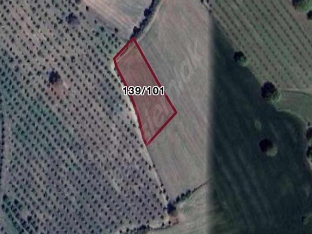 İzmit, Kocaeli içerisinde satılık Arsa