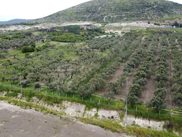 Aliağa, İzmir içerisinde satılık Depo