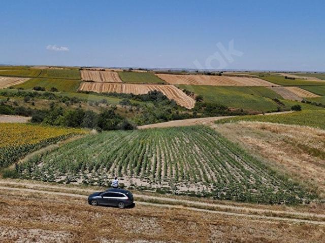 Hayrabolu, Tekirdağ içerisinde satılık Arsa
