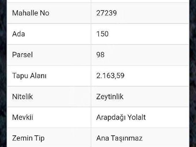 Bayindir, İzmir içerisinde satılık mülk