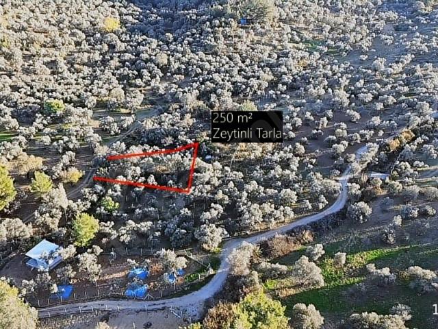 Kemalpaşa, İzmir içerisinde satılık Arsa