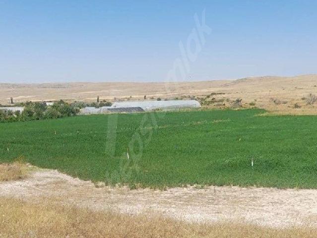 Avanos, Nevşehir içerisinde satılık Fabrika