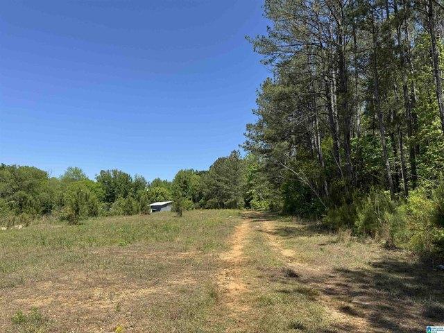 Land for sale in Roanoke, Alabama