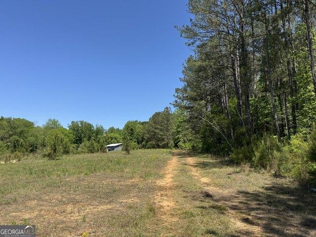 Land for sale in Roanoke, Alabama