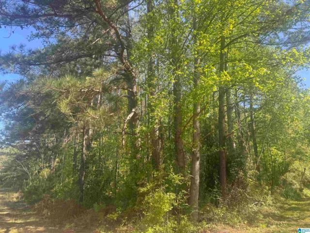Land for sale in Roanoke, Alabama