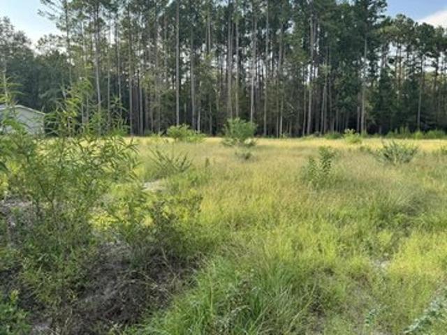 Land for sale in Walterboro, South Carolina