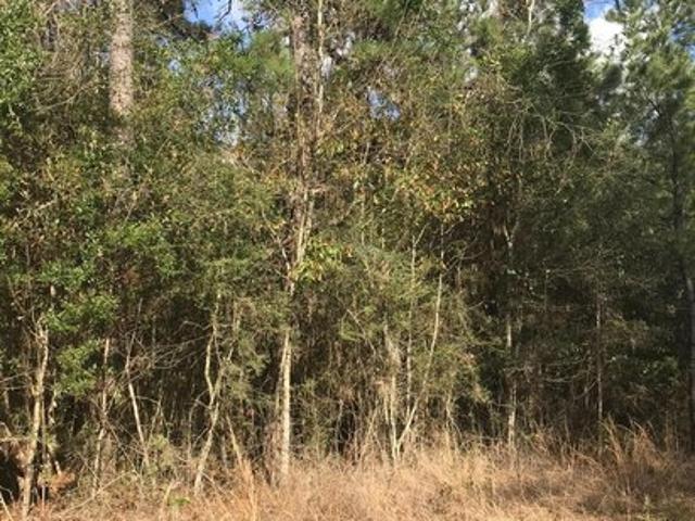 Land for sale in Saucier, Mississippi