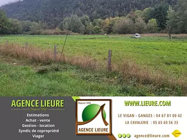 Terrain vente à Millau, Sauclières