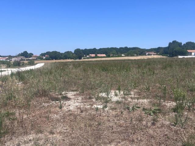 Terrain vente à Saintes, Saujon