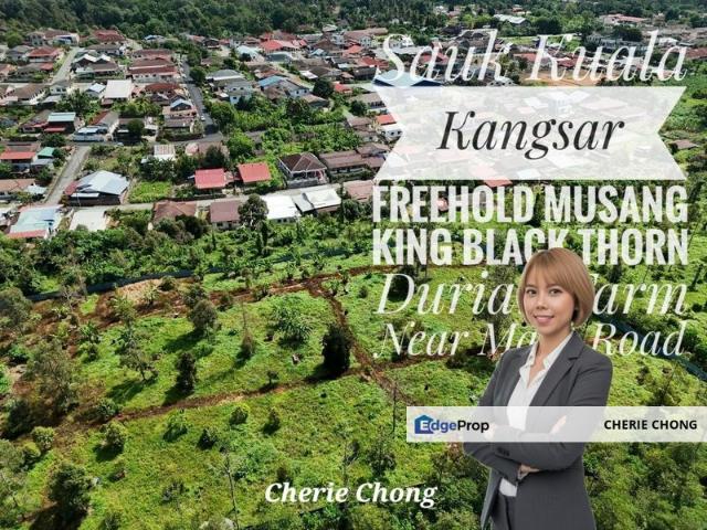 Shop for sale in Perak, Sauk