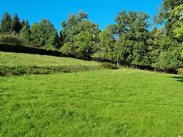 Terrain vente à Saulcy-sur-Meurthe, Vosges