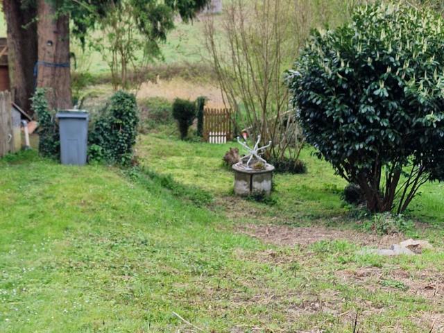 Terrain vente à Palaiseau, Saulx-les-chartreux