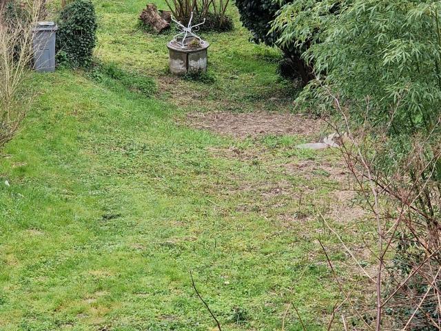 Terrain vente à Palaiseau, Saulx-les-chartreux