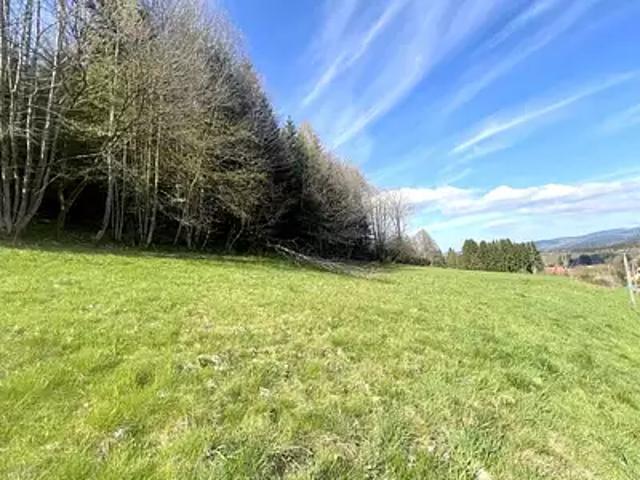 Terrain vente à Saulxures, Collectivité européenne d'Alsace