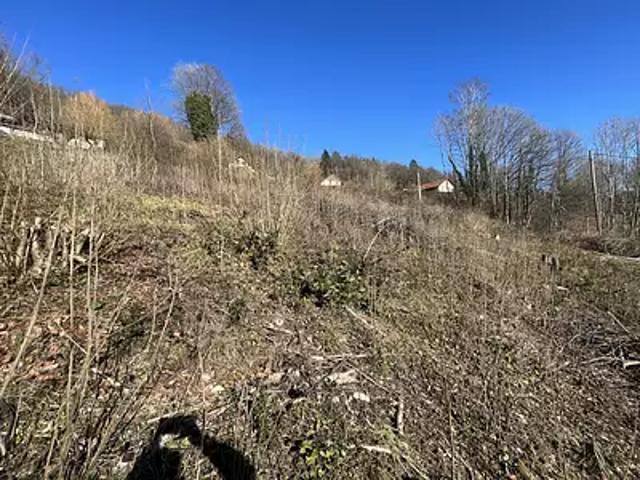 Terrain vente à Épinal, Saulxures-sur-moselotte