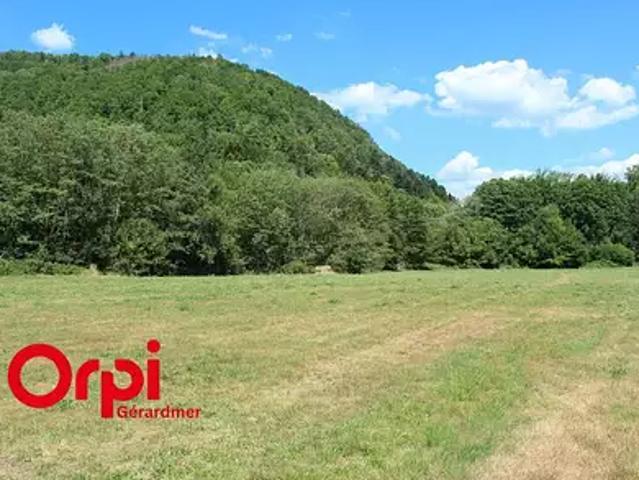 Terrain vente à Épinal, Saulxures-sur-moselotte