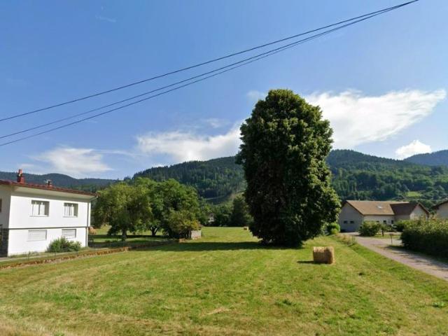 Terrain vente à Épinal, Saulxures-sur-moselotte
