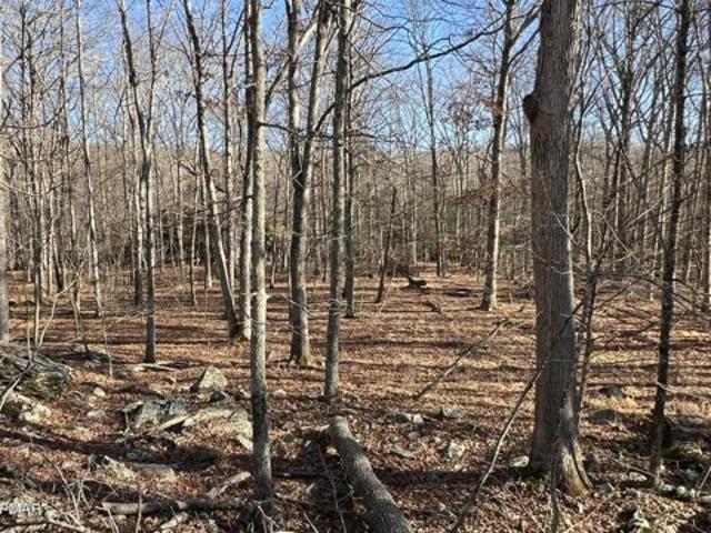 Land for sale in Bushkill Land for sale in Bushkill