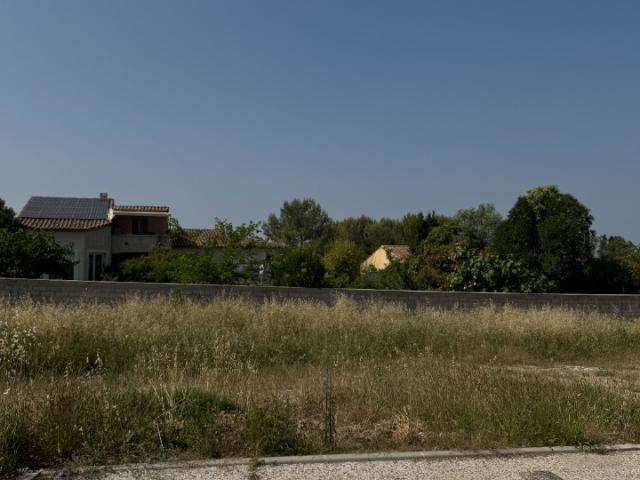 Terrain vente à Montpellier, Saussines