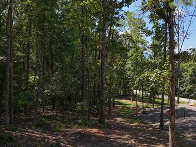 Land for sale in Clarkesville, Georgia