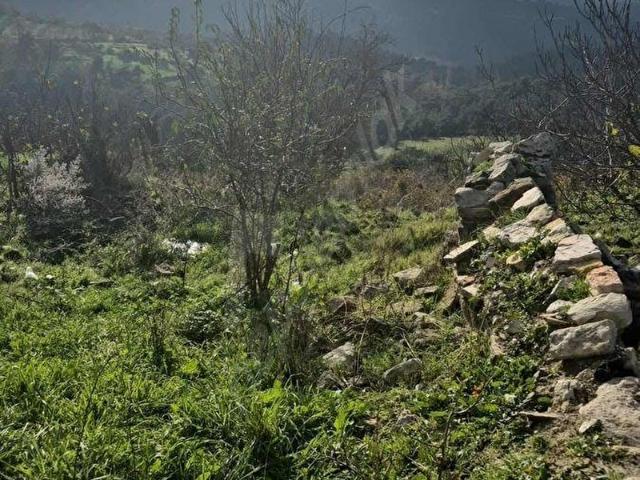 Aşağı Danişment, Savaştepe içerisinde satılık Arsa