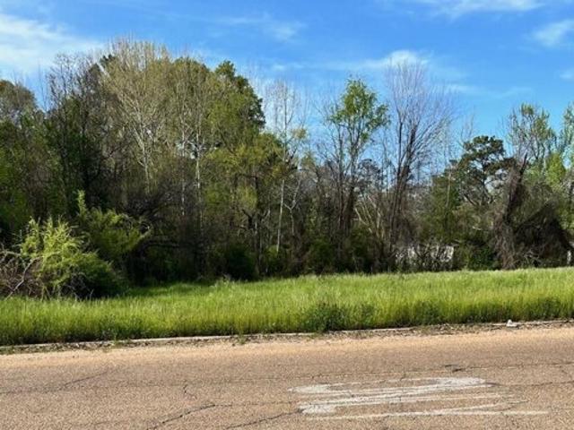 Land for sale in Jackson