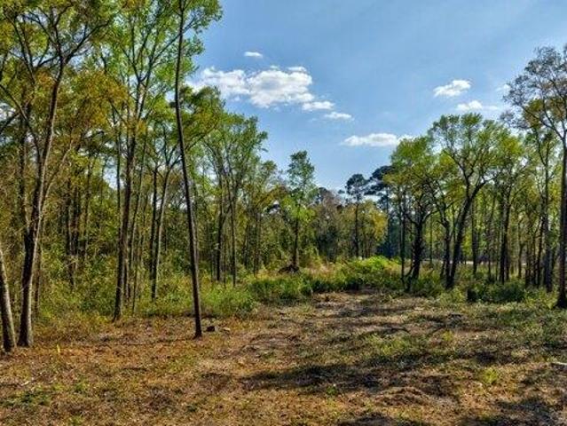 Land for sale in Savannah, Georgia